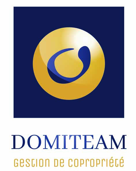 DOMITEAM LOGO REDUIT
